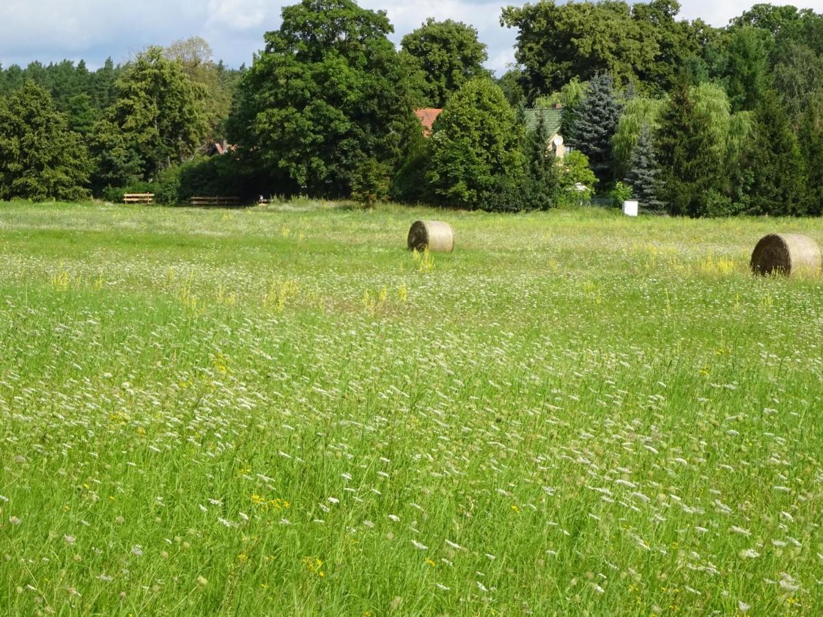 Ferienanlage Waschbaer Country Templin Eksteriør billede