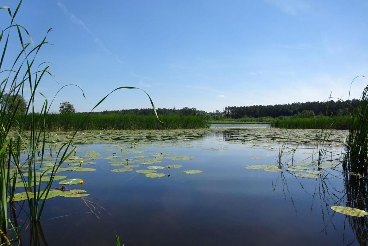 Ferienanlage Waschbaer Country Templin Eksteriør billede