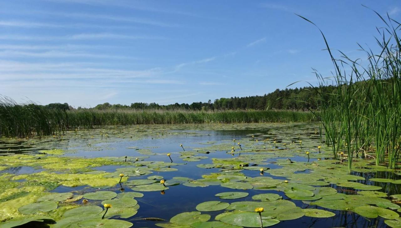 Ferienanlage Waschbaer Country Templin Eksteriør billede